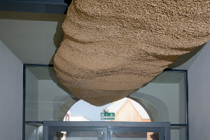 Kernschwarm_5