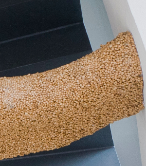 Kernschwarm_detail